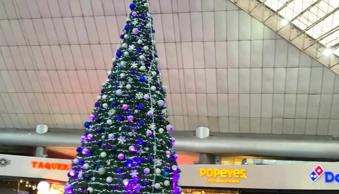 Terminal Central De Autobuses Del Norte -  Videos - Gustavo A. Madero, Ciudad de México