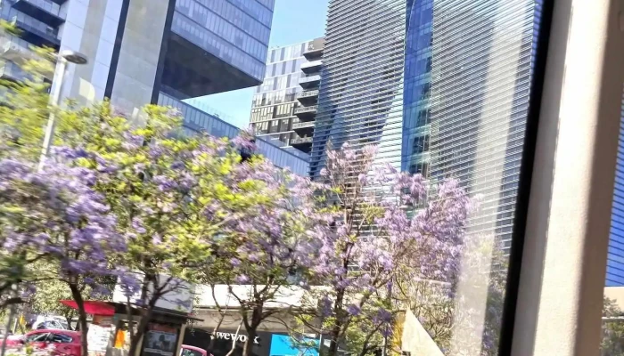 Terminal Centro Comercial Santa Fe Sitio Web - Ciudad de México