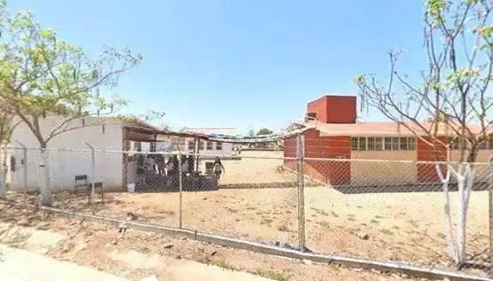 Terminal Cerritos -  Pradera Opiniones - Mazatlán