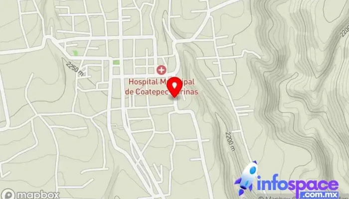 mapa de Terminal de Autobuses Coatepec Harinas Servicio de transporte en Coatepec Harinas
