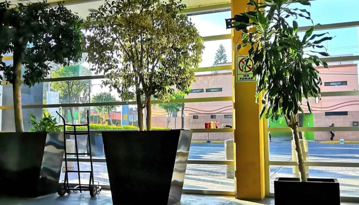 Terminal De Autobuses Oro Y Erco -  Telefono - Heroica Puebla de Zaragoza