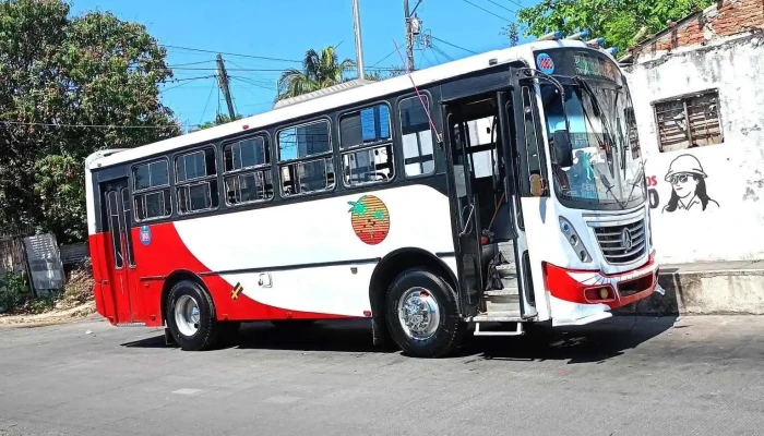 Terminal de Autobuses Palmitas Puente - Villa Rica