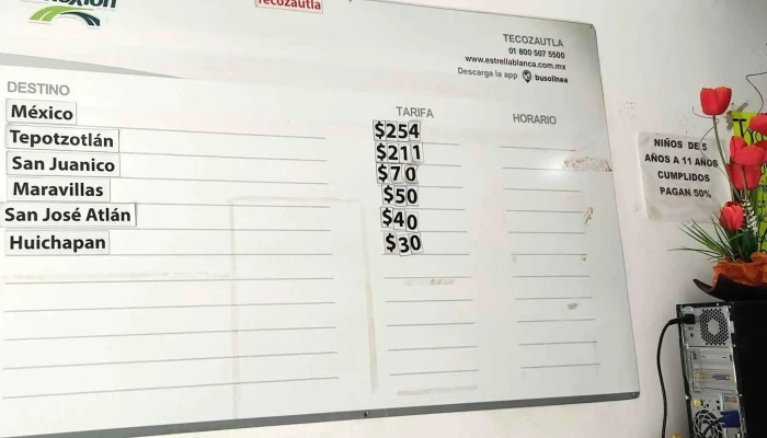 Terminal De Autobuses -  Sitio Web - Tecozautla
