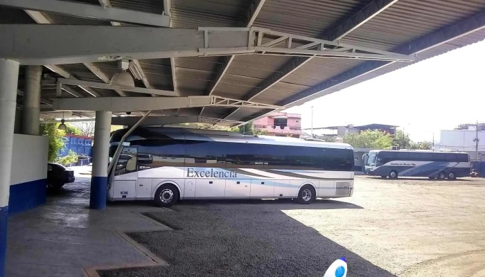 Terminal De Autobuses Toluca Zinacantepec -  Autobus - Cdad. Altamirano