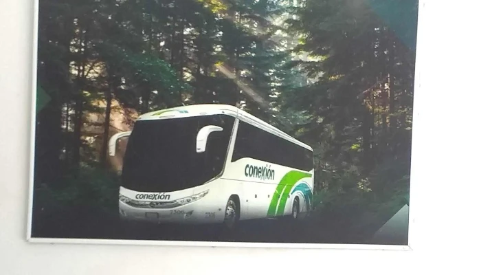 Terminal De Autobuses -  Zona - Tecozautla