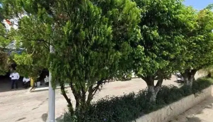 Terminal De Autotransporte Ixtapaneca S C L Descuentos - Zinacantán