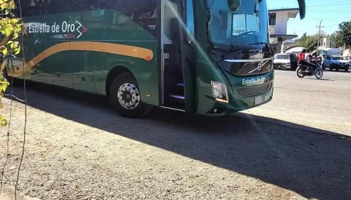 Terminal Estrella De Oro Arcelia -  Autobus - Arcelia