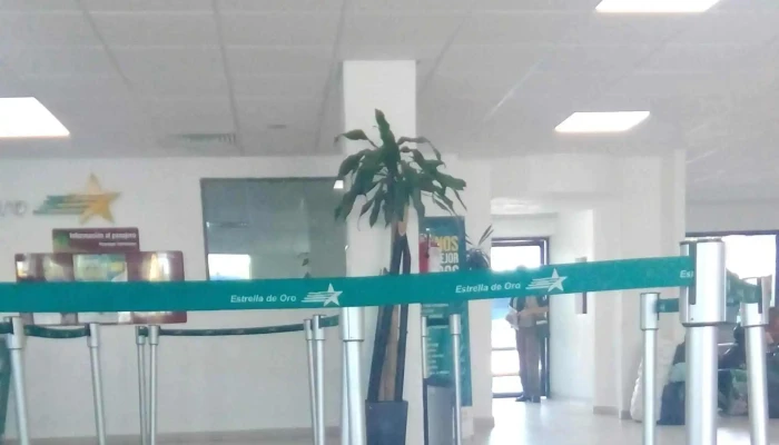 Terminal Estrella De Oro Arcelia -  Opiniones - Arcelia
