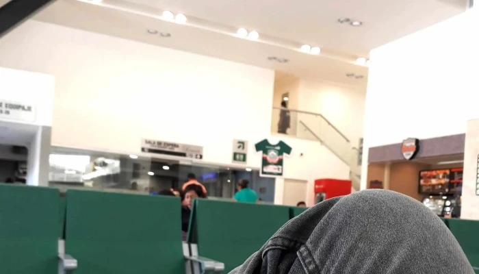 Terminal Estrella De Oro -  Como Llegar - Chilpancingo de los Bravo