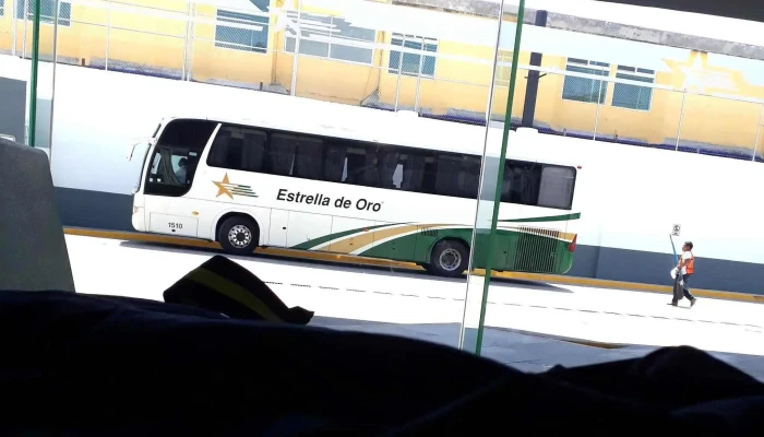 Terminal Estrella De Oro -  Descuentos - Chilpancingo de los Bravo
