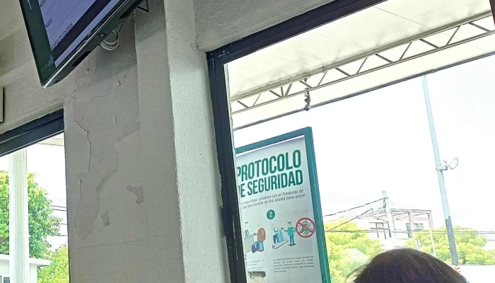 Terminal Estrella De Oro Iguala -  Comentarios - Iguala de la Independencia
