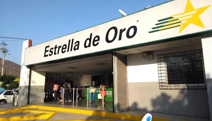 Terminal Estrella de Oro Petatlán - Vicente Guerrero