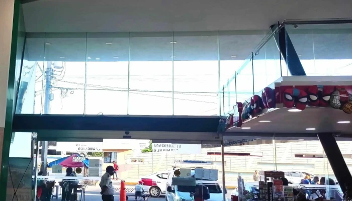 Terminal Estrella De Oro -  Telefono - Chilpancingo de los Bravo