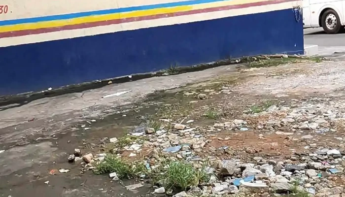 Terminal Fipsa -  Catalogo - Huixtla