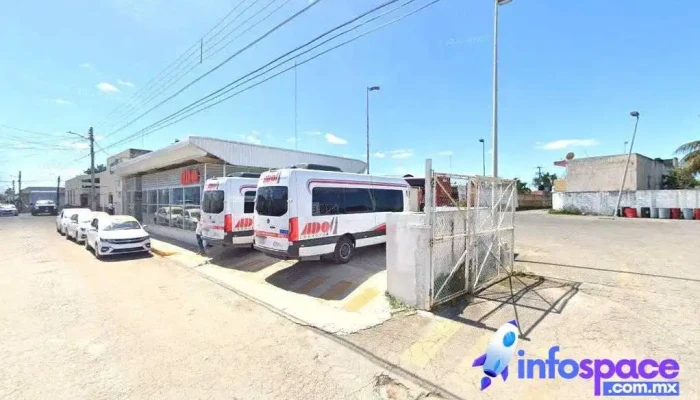 Terminal foránea taxis grupo fenix - Centro