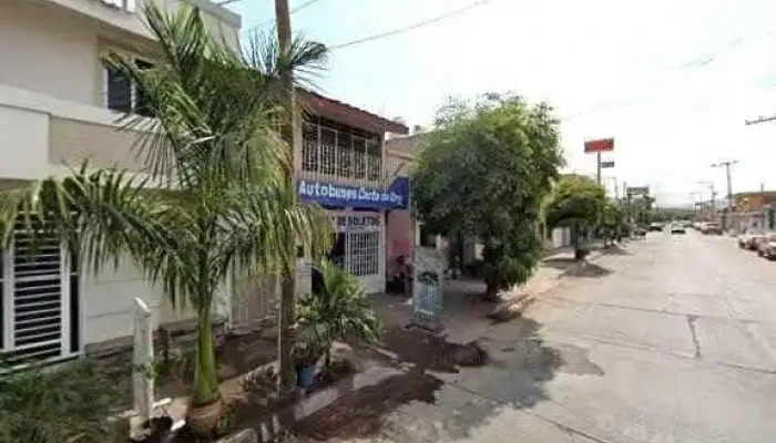 Terminal Individual Autobuses Expresos De Guasavesa De Cv Opiniones - Escuinapa de Hidalgo