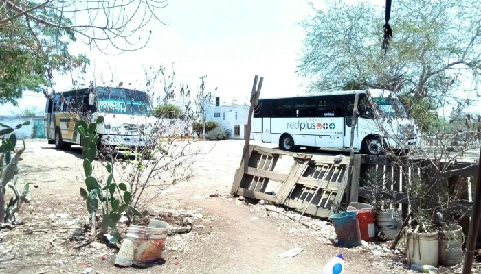 Terminal Inf Conchi Camion - Mazatlán