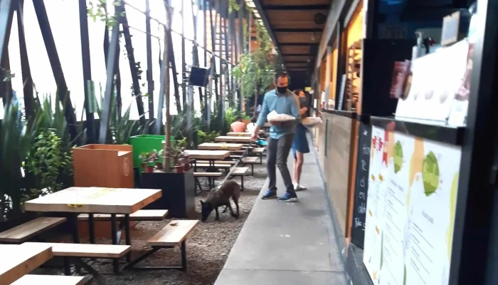 Terminal Juarez Pop Up Hall Numero - Cuauhtémoc, Ciudad de México