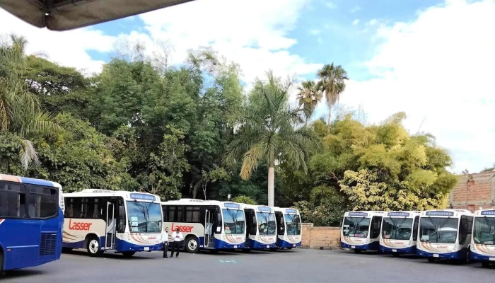 Terminal Lasser Mercado -  Telefono - Cuernavaca