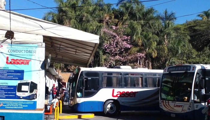 Terminal Lasser Mercado -  Videos - Cuernavaca