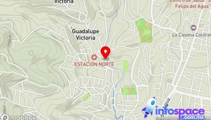 mapa de Terminal Bus stop en Guadalupe Victoria