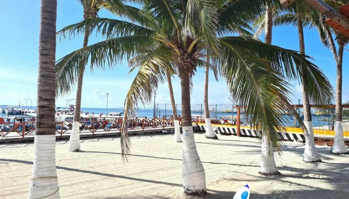 Terminal Maritima Puerto Juárez - Naval