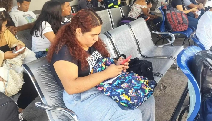 Terminal Oro -  Abierto Ahora - Amayuca