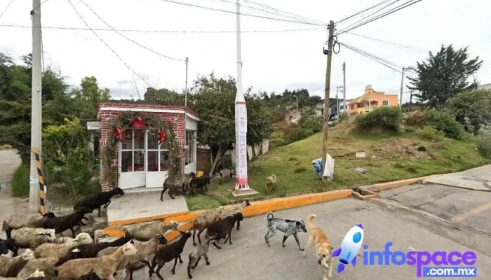 Terminal San Pablo Ixayoc - Papalotla