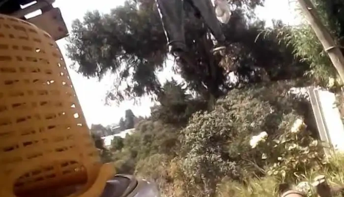Terminal San Pablo Ixayoc -  Videos - Papalotla