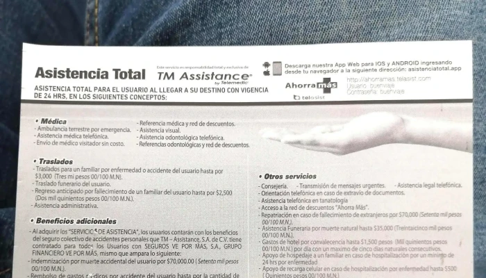 Terminal Sur -  Direccion - Cuautla
