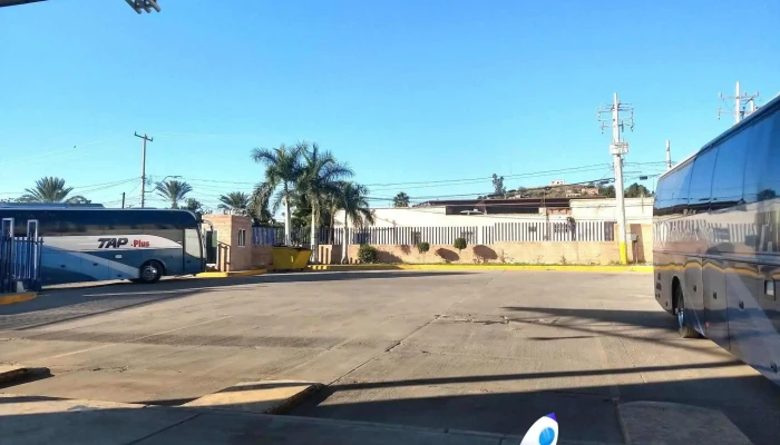 Terminal Tap -  Autobus - Hermosillo
