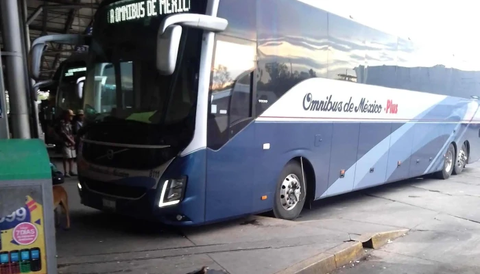 Terminal Tap -  Catalogo - Hermosillo