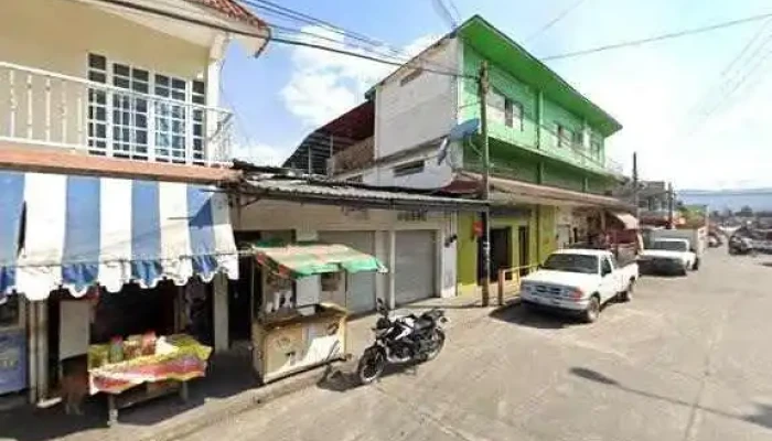 Terminal Vicente Oaxaca Catalogo - Vicente Camalote