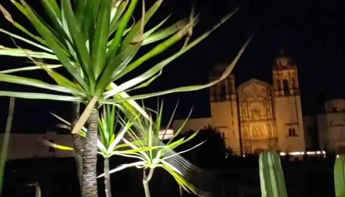 Ticket Bus -  Videos - Oaxaca de Juárez