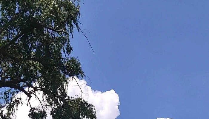 Tirolesa Etucuaro Como Llegar - Michoacán