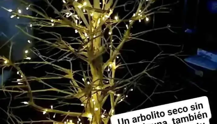 Tlahuac Paradero Videos - Tláhuac, Ciudad de México