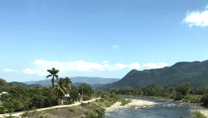 Transjuar -  Numero - Oaxaca de Juárez