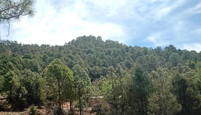 Transportes Guadalupe Y Calvo -  Descuentos - Hidalgo del Parral