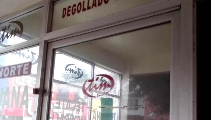 Transportes Tim -  Videos - Los Mochis