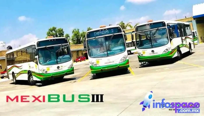 Transred Mexibus Lll Precios - Chimalhuacán