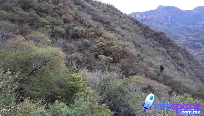 Urique -  Videos - Urique
