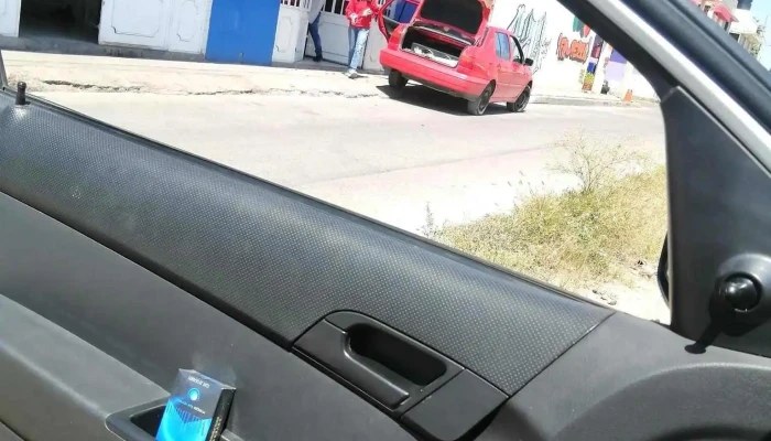 Yovoy - Pintores Mexicanos