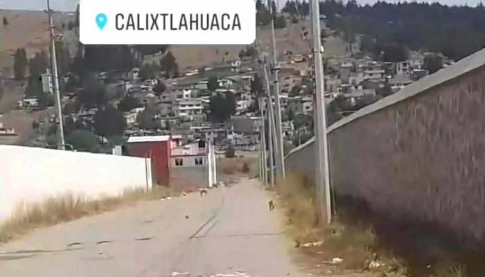 Zinacantepec -  Cerca De Mi - San Miguel Zinacantepec